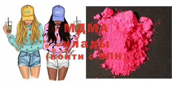 гашик Алексин