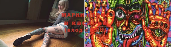 гашик Алексин